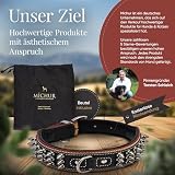 MICHUR Strike NO. 1 Hundehalsband Leder, Halsband, Lederhalsband Hund, Nieten, Halsband Leder MIT Nieten, BEIGE SCHWARZ BREIT, in verschiedenen Größen erhältlich