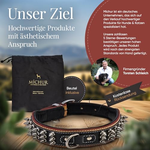 MICHUR Strike NO. 1 Hundehalsband Leder, Halsband, Lederhalsband Hund, Nieten, Halsband Leder MIT Nieten, BEIGE SCHWARZ BREIT, in verschiedenen Größen erhältlich