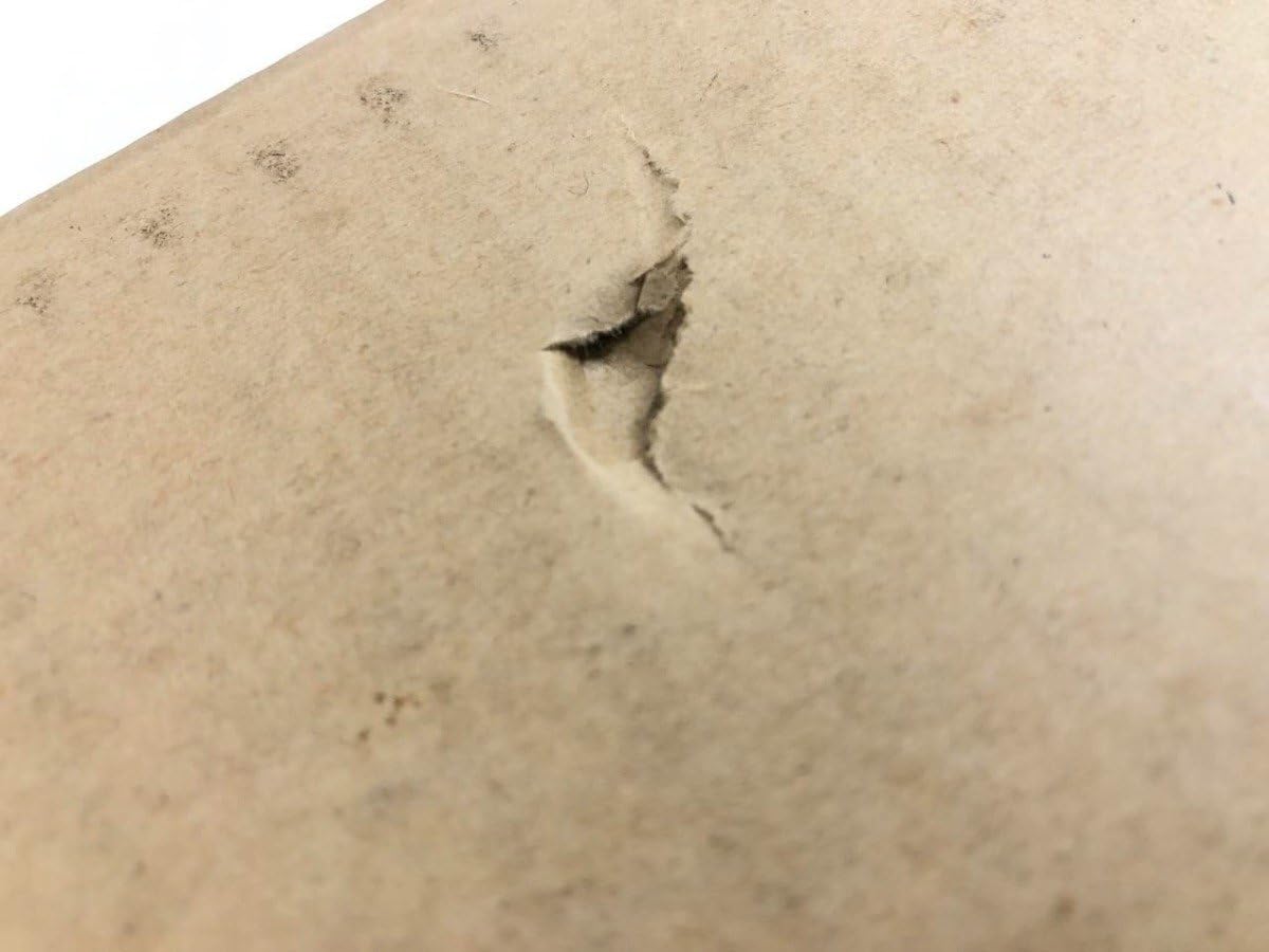 Amazon.co.jp: 1 国宝原色元永本古今集（抄）伝源俊頼筆 限定版