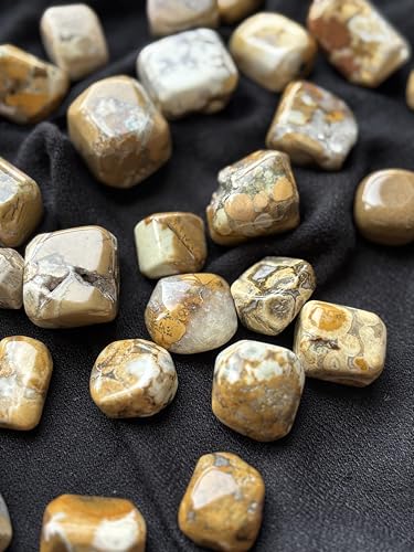 Image of Tumbled Stones, Natural Crystal Healing Stones, Home Office Decor, Aquarium Decorative Pebbles, Vase Fillers (Cobra Jasper, 100)