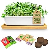 EVERYTHING YOU NEED TO GROW MICROGREENS IN STYLE Experience the joy of growing your own nutrient-packed microgreens—right from your kitchen counter. This complete kit includes a premium white ceramic planter (6.5" x 3.5" x 1.75"), decorative bamboo t...