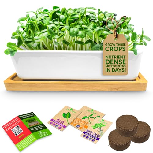 ZESTIGREENS Ceramic Microgreens Growing Kit to Grow 3 Crops Including