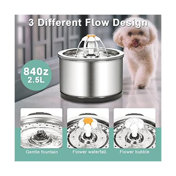 Diealles Shine Katzenbrunnen Edelstahl, 2.5L Ultra-Leise Katzen Trinkbrunnen, Wasserspender Katzen Elektrisch mit Pumpe Filter Reinigungsbürsten LED-Licht für Katze Hunde – Bild 3