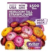 Small manufacture image 9