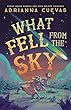 セール中のKindle本9：What Fell from the Sky (English Edition)