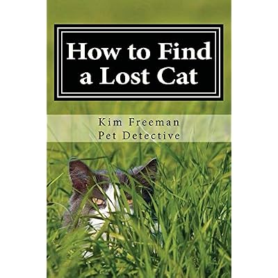 How to Find a Lost Cat
