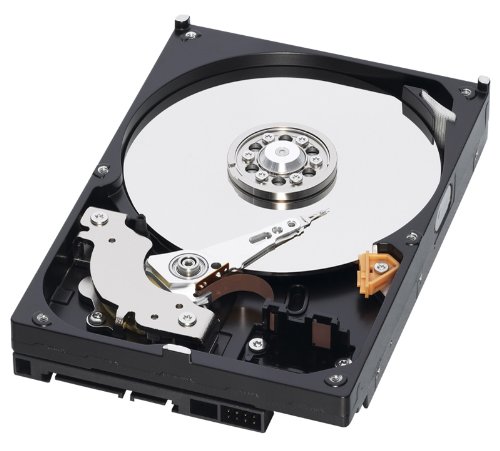 Amazon.com: Western Digital 750 GB Caviar Green SATA 3 Gb/s