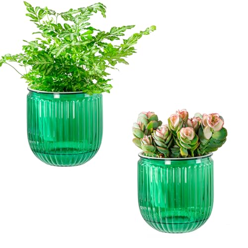 Josteve Vasi per piante autoirriganti per interni, 10,8 cm, confezione da 2 vasi da fiori in plastica per orchidee, piante da giardino, per erbe, piante da appartamento, violette africane, fioriera