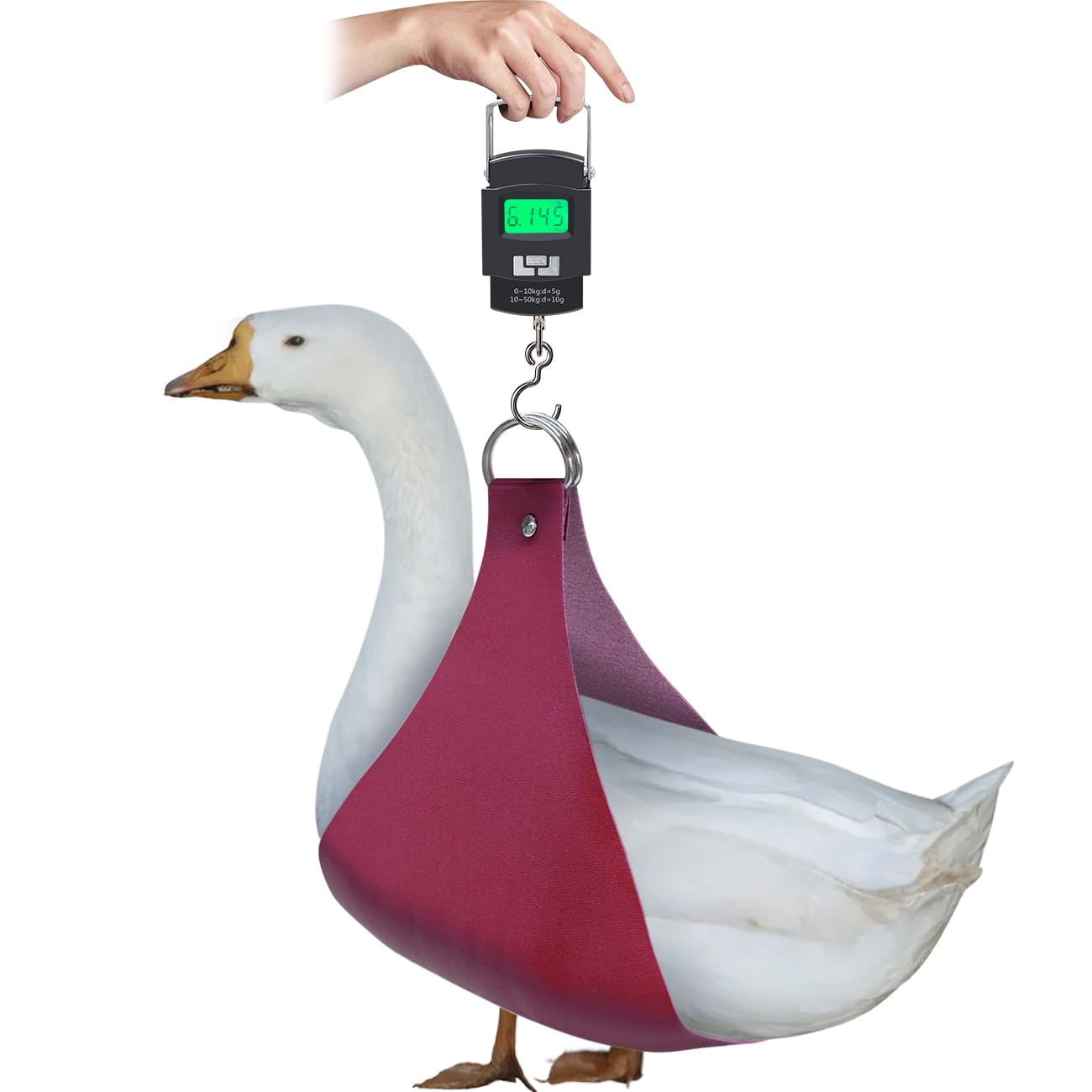La La Pet Chicken Sling Bag with Weighing Scale Hanging Electronic Weigh Scales Lightweight PU Leather Poultry Holder Portable Weighing Device for Hens Cocks Ducks Geese Red