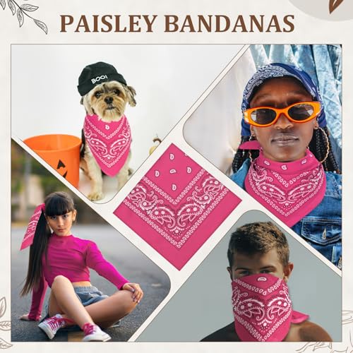 Bandanas cowboy pour festivals et soirées à thèmes pack de 36 - 7