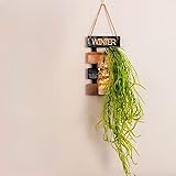 Spring Wall Decor with Glass Display - Handcrafted Wooden Hanging Sign, 12
