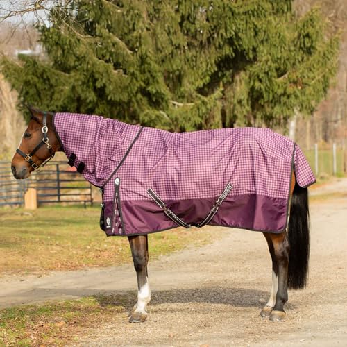 Image of Equinavia Norse Lightweight 100g Fill Horse Rain Blanket | Waterproof Turnout Sheet - Black - 66 in - Plum Wine /Orchid Haze - 72 in