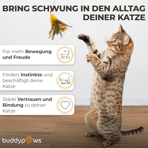 buddypaws® Katzenangel stabil mit 4 Anhängern & Katzenminze – Ausziehbar 42-104 cm – Flexibles Glasfasermaterial – Katzenspielzeug Set mit Ersatzschnur – Spielangel für Katzen - Cat Toys