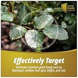 Fungus Defence Plus Spray 500ml | Organic Plant Protection | Targets Blackspot, Mildew, Leaf Spot, Blight, Rust | Ideal for Indoor & Outdoor Use | Safe on Fruits, Vegetables, Flowers | Natural Defence - Image 7