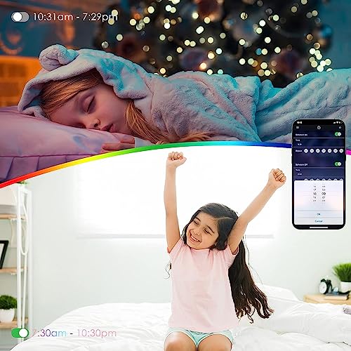 WiFi LED Strip 5m, RGBIC LEDs Streifen Musik Sync, Segmentcontrol Farbwechsel LED Band, WS2812B LEDs Lichtband mit APP und Fernbedienung, Strip Lights Funktioniert mit Alexa und Google Assistant