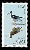Tematica: Uccelli 2020 Saint Pierre et Miquelon SP&M Le Limicole - tematica uccelli