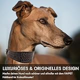 FAVPET Luxus Echtleder Windhund Halsband Breit mit QR Code Anhänger, Weiches Lederhalsband Hund Breit Whippet Italienisches Windspiel Saluki Lurcher Spanischer Galgo Greyhound Podenco (Grau, XS)