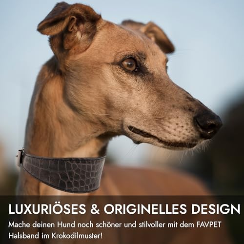 FAVPET Luxus Echtleder Windhund Halsband Breit mit QR Code Anhänger, Weiches Lederhalsband Hund Breit Whippet Italienisches Windspiel Saluki Lurcher Spanischer Galgo Greyhound Podenco (Grau, XS)