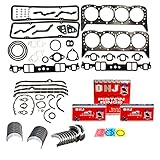 DNJ RRK3101 Engine Re-Ring Kit for 1968-1973 Chevrolet, GMC Bel Air, Biscayne, Blazer 5.0L V8 16V OHV 5031cc