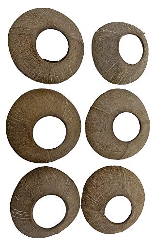 1290 Large Coconut Discs 6 Pack Bird Parrot Toy Part Craft Parrot cage Toys Cages Natural pet