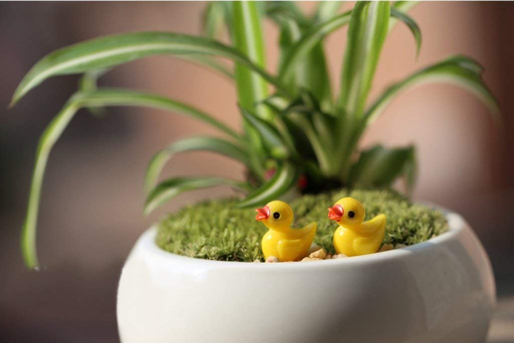20 Stück Miniatur-Enten – Bunt, Lebensecht, Als Deko Für Schreibtisch, Regal Oder Party