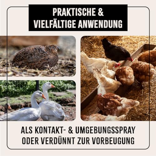 AniForte Milbenspray Hühner & Geflügel 1Liter - gegen Milben & Parasiten, Milben Stop, Milbenmittel als Umgebungsspray & Kontaktspray, zur Vorbeugung & bei akutem Befall