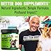 Better Dog Supplements Allergy Balance by Cesar Millan – Natural Allergy Support Powder for Dogs – Seasonal Allergies, Itching & Occasional Allergy Relief with Herbal Ingredients – 4oz (60-Day Supply)