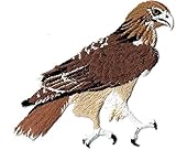 Red-tailed Hawk Bird Iron on Embroidered Patch