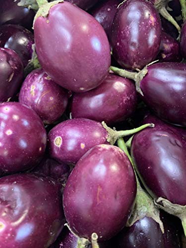 Fresh Indian Eggplant - 3 Lbs #TOP1