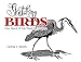 Sketching Birds: Pen, Pencil, and Ink Wash Techniques (Dover Art Instruction)