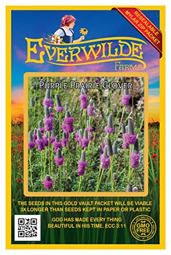 Everwilde Farms - 2000 Purple Prairie Clover Native Wildflower Seeds - Gold Vault Jumbo Seed Packet #TOP24