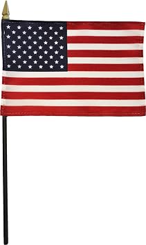 USA - 4 in x 6 in World Stick Flag