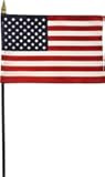 USA - 4 in x 6 in World Stick Flag