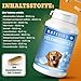 NATIVIVO Gelenktabletten Hund - Grünlippmuschel Hund - Gelenkkomplex Vital Rezeptur mit Weihrauch Teufelskralle & MSM - Grünlippmuschel Kapseln - Unterstützt Gelenke & Beweglichkeit Made in Germany