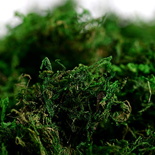 Farmoo Artificial Moss For Plant, Fairy Garden Lawn Crafts Wedding Decor (Fresh Green Moss) #TOP6
