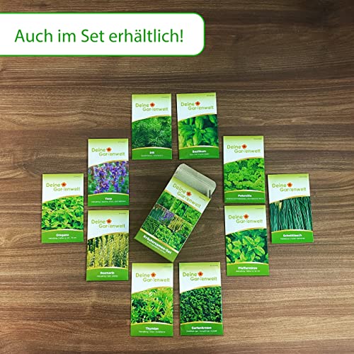 Schnittlauch Polyvert Samen - Allium schoenoprasum - Schnittlauchsamen - Kräutersamen - Saatgut für 300 Pflanzen - Image 8