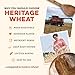 Sunrise Flour Mill Heritage Organic Whole Wheat Flour - 5 lbs | Milled from red hard wheat within 10 Days | Easier to Digest with Less Bloating | No Bleaching | Organic whole wheat bread flour