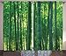 ABAKUHAUS, BAMBOO PRINT. Zasłony, Orientalne egzotyczne bambusowe drzewa w lesie deszczowym poziomej dżungli łodygi natura widok, Zielony, 280cm x 225cm