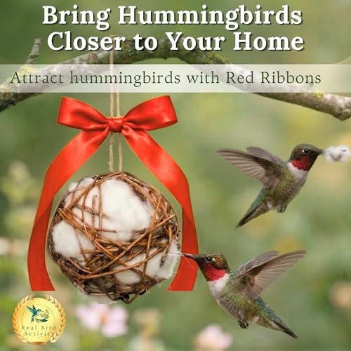 Image of Bird Nesting Material Holder for Hummingbirds, 2 Refillable Balls with Natural Cotton Fibers for Wild Bird Houses, Outdoor Gift for Bird Lovers
