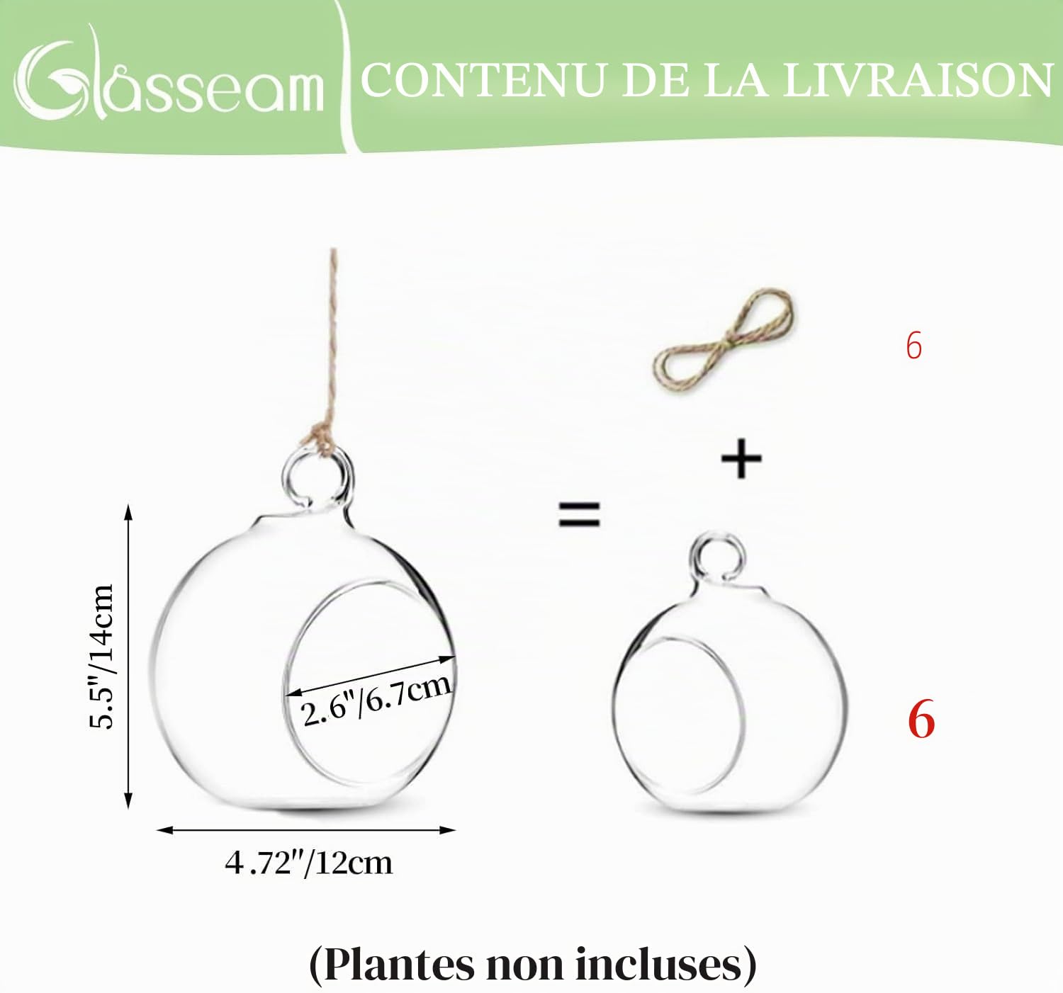 Terrarium en Verre Suspendu 6 Pièces Grande Ouverture Vase Plante Boules 12cm Fleur Vase Pot Boules De Verre Creativesverre la Conception de Bricolage de Jardin de Mariage à la Maison