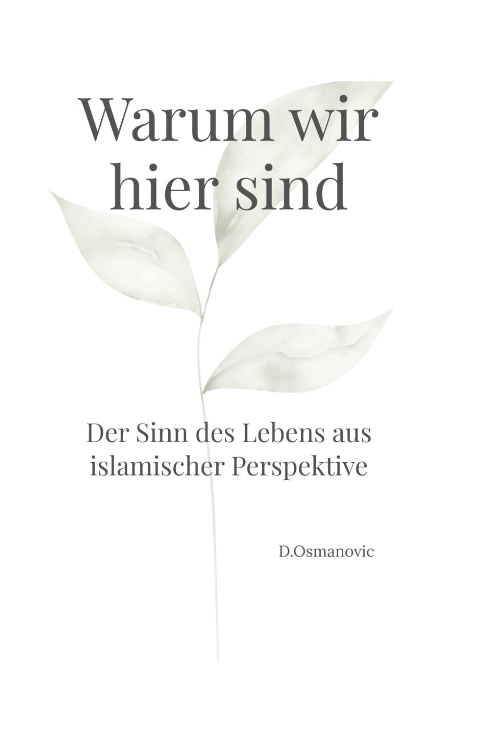 Warum wir hier sind: der Sinn des Lebens aus islamischer Perspektive