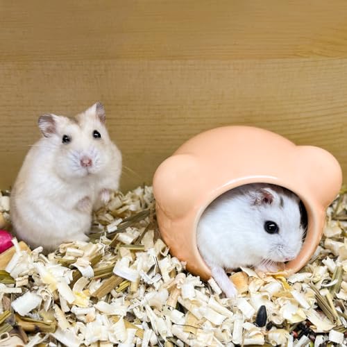 Niche en céramique pour hamster de qualité supérieure, abri chic orange - 8