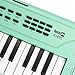 RockJam 49 Key USB Keyboard Piano with Lessons & Keynote Stickers
