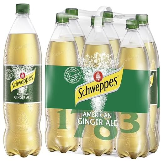Schweppes Ginger Ale, 6er Pack, EINWEG (6 x 1.25 l)