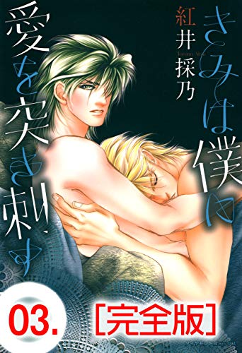 きみは僕に愛を突き刺す【完全版】3 (男子上等！)