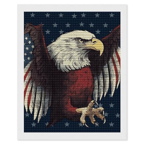 Broderie diamant aigle et drapeau pour decoration salon 5D