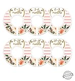 Modish Labels Baby Clothes Size Dividers, Baby Closet Organizers, Size Dividers, Closet Organizer, C