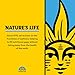 Nature's Life Saw Palmetto for Men 580mg - Traditional Prostate Supplement - Men's Health, Prostate and Urinary Tract Support w/Beta Sitosterol Plant Sterols, 60-Day Guarantee, 100 Serv, 100 Capsules
