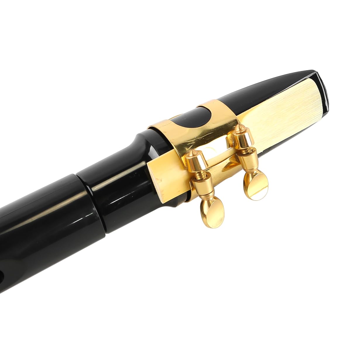 Kit de saxofón Alto de Bolsillo con 4 cañas, 8 Almohadillas dentales, Tablas de digitación y Bolsa de Transporte (Negro)