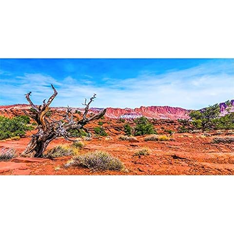 AWERT 180x61cm Reptile Habitat Background Blue Sky Oasis Orange Desert Terrarium Background Durable Vinyl Background (Not Sticker) Cover